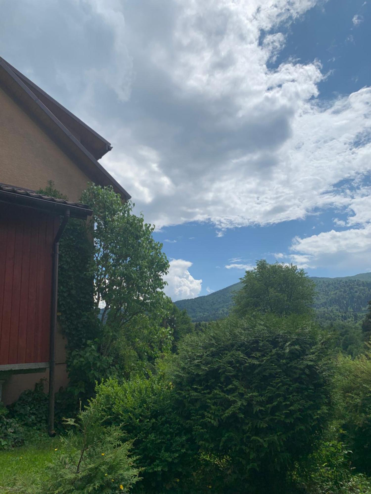Zakrzywek Wyjatkowy Apartament W Krzywe K/Cisnej Cisna Dış mekan fotoğraf